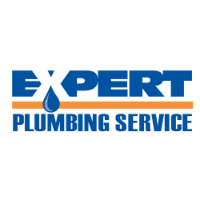 Popular Home Services Expert Plumbing Service in  